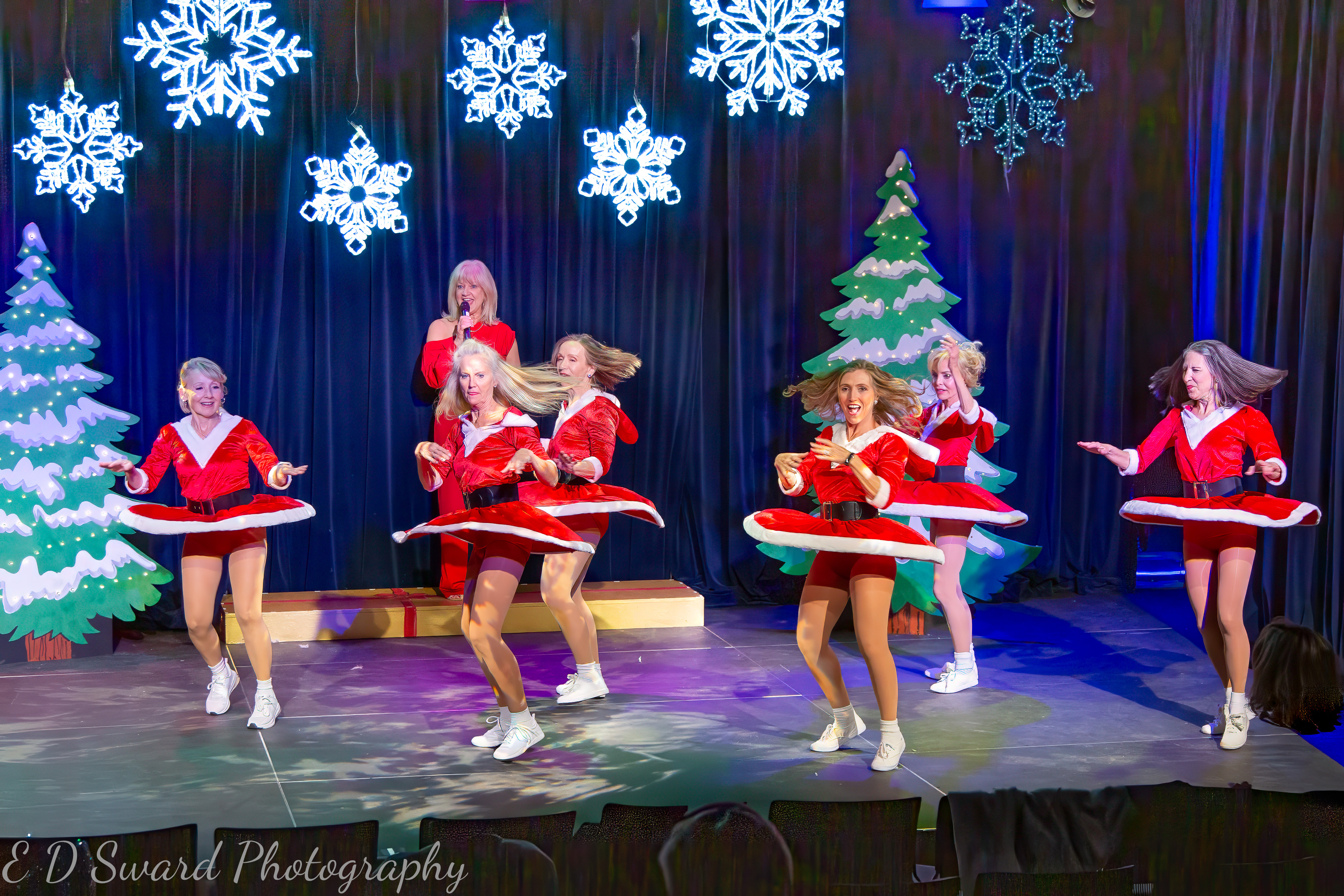 Sassafras performance