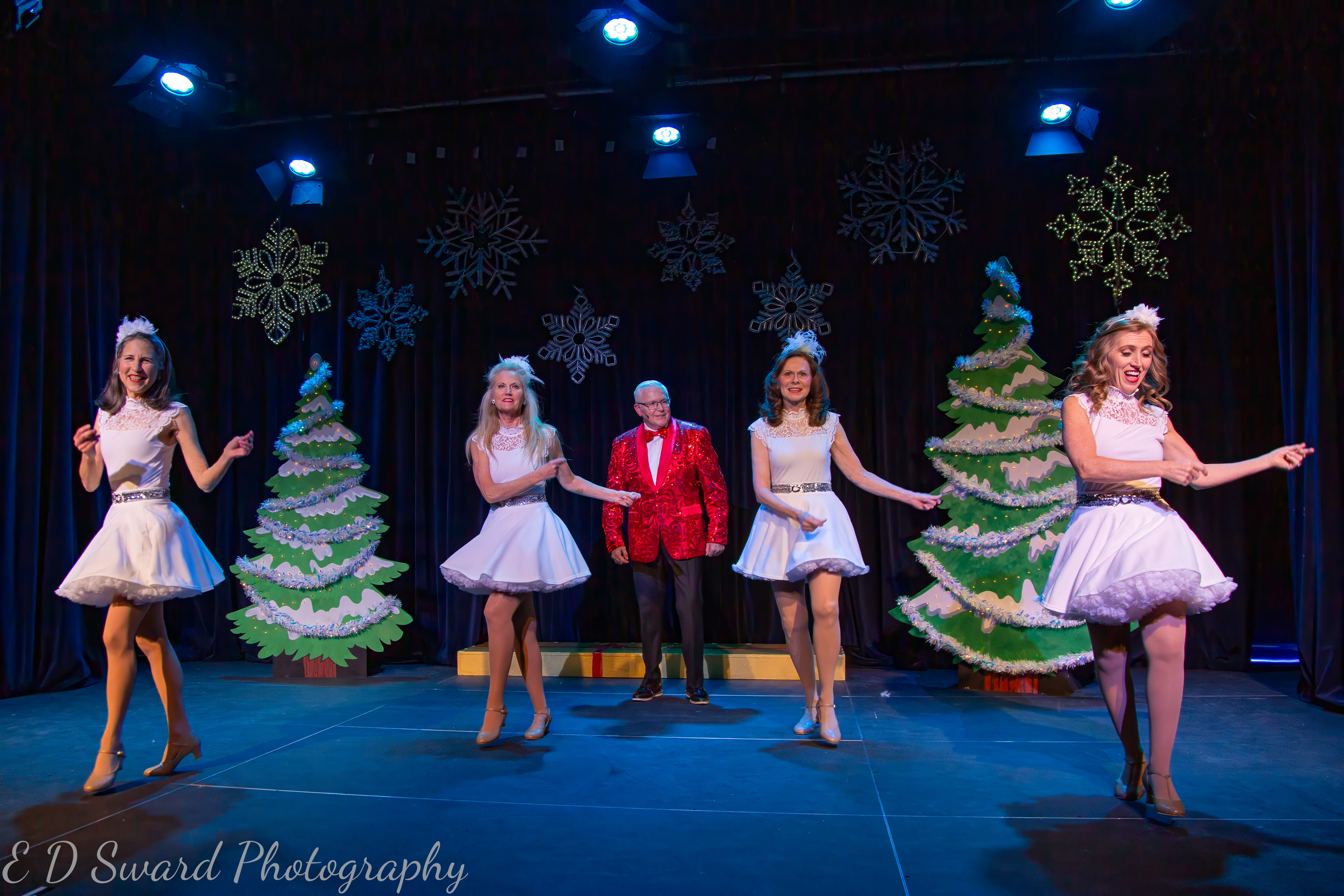 Sassafras performance