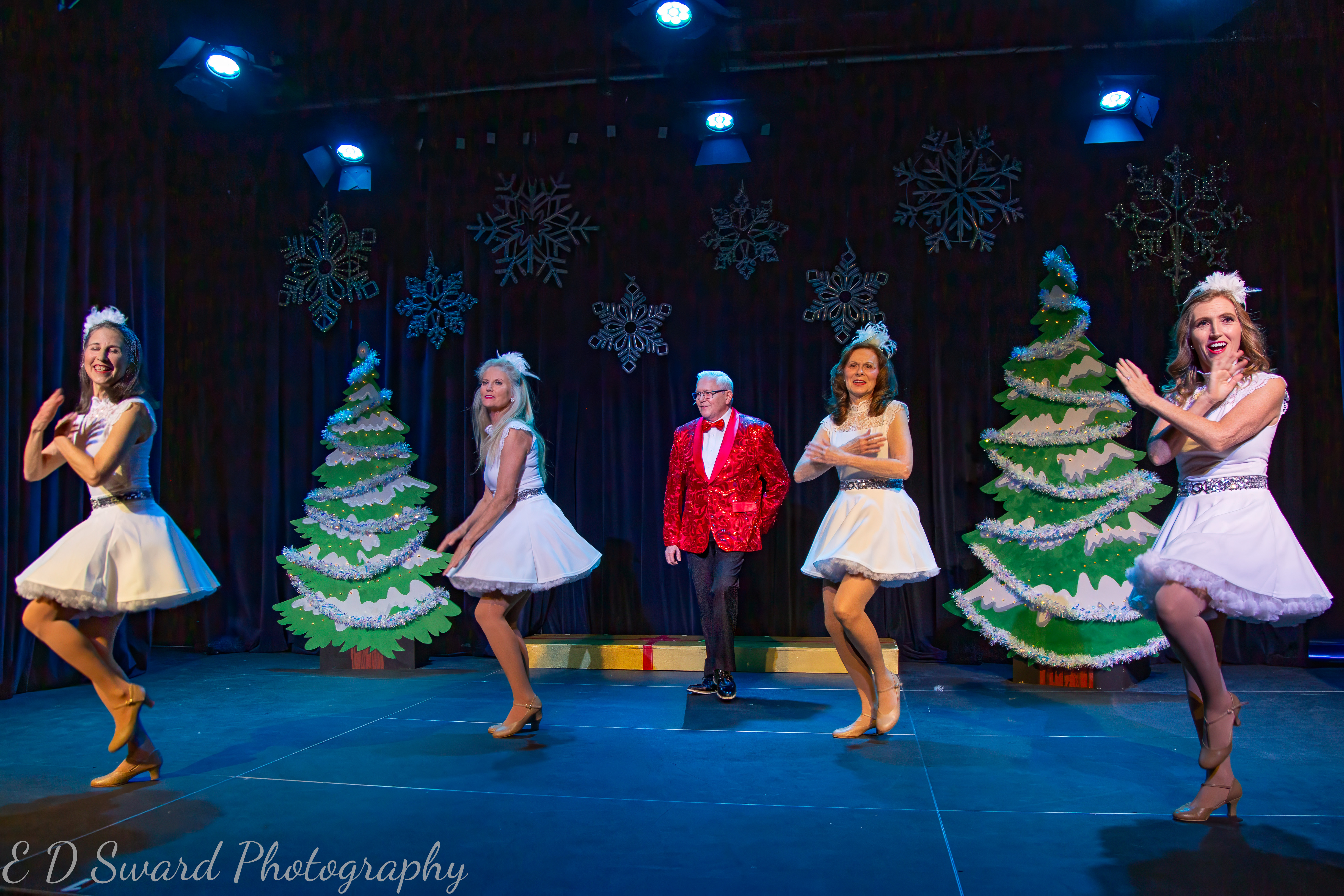 Sassafras performance