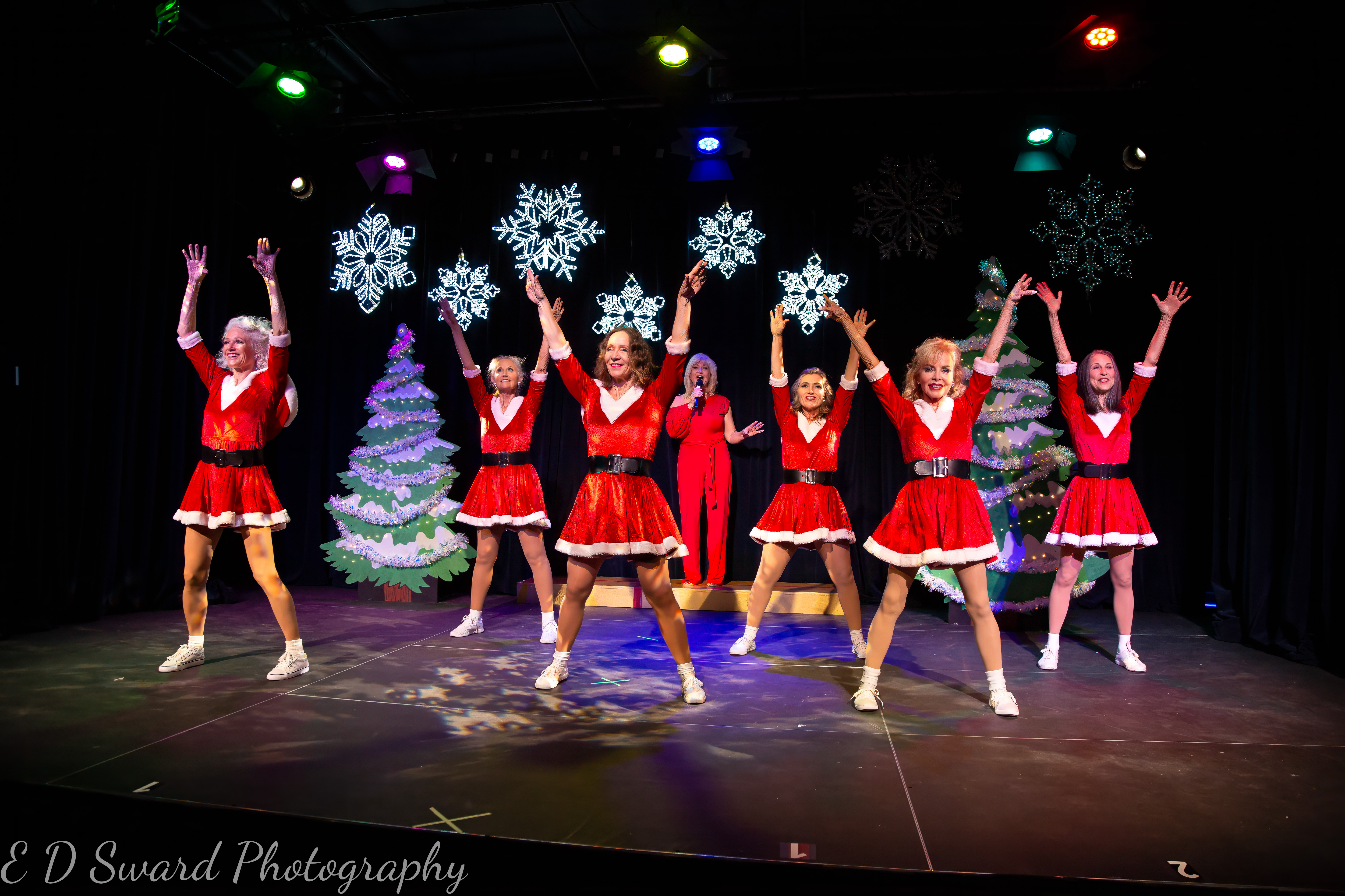 Sassafras performance