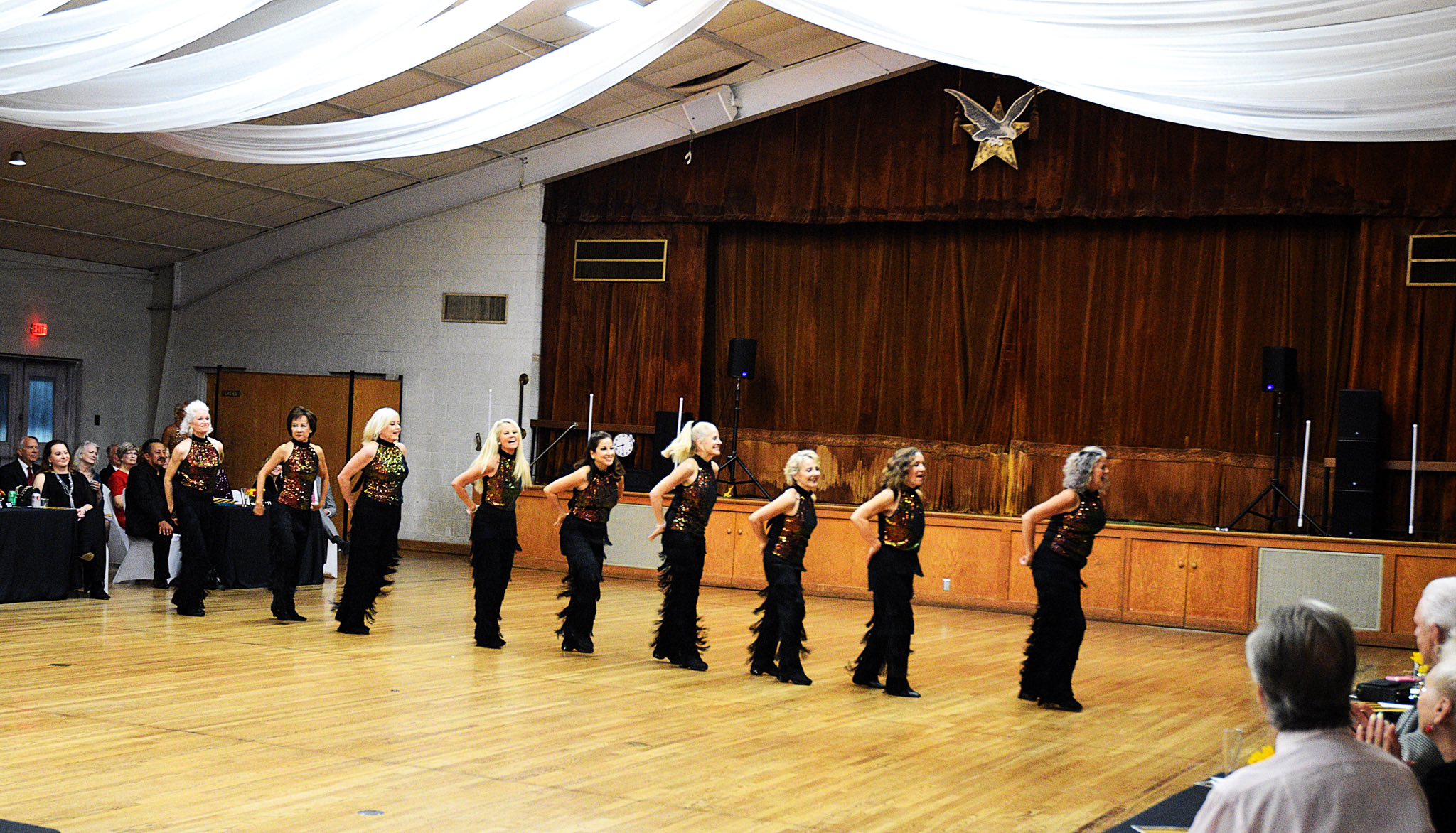 Sassafras performance